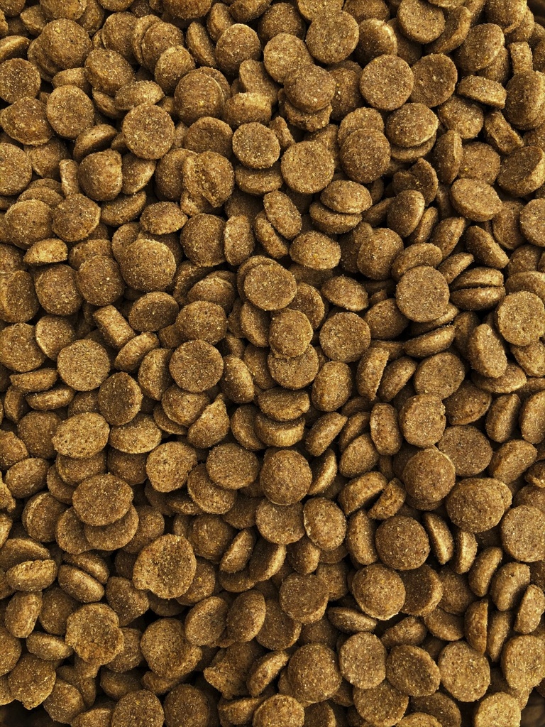 Farma Cat Brown Color 20kg